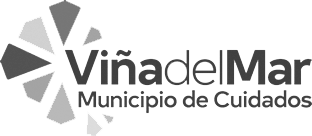 logo-vina client-image